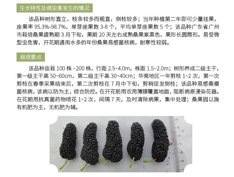 博彩论坛排名