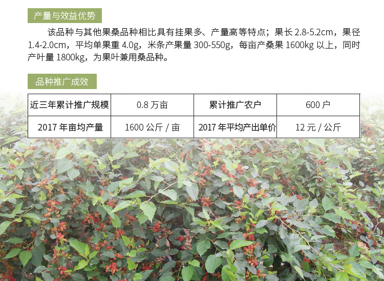 博彩论坛排名