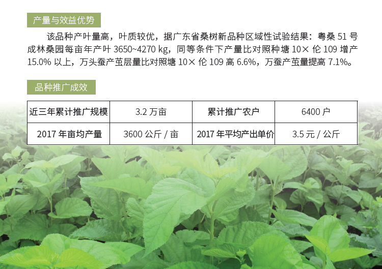 博彩论坛排名