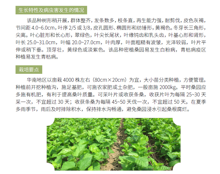 博彩论坛排名
