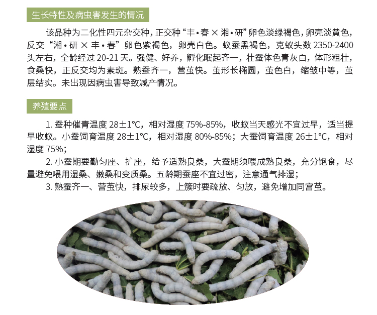 博彩论坛排名
