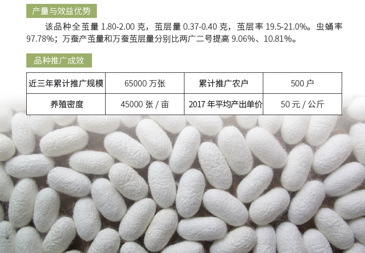 博彩论坛排名
