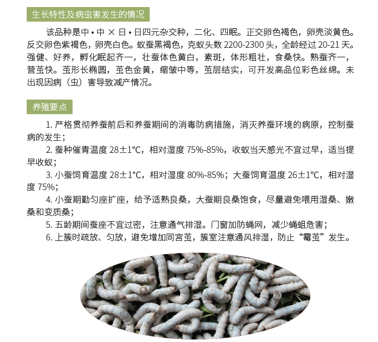 博彩论坛排名