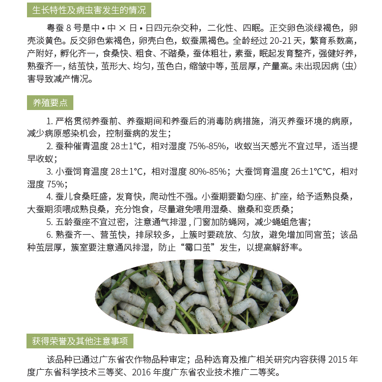 博彩论坛排名
