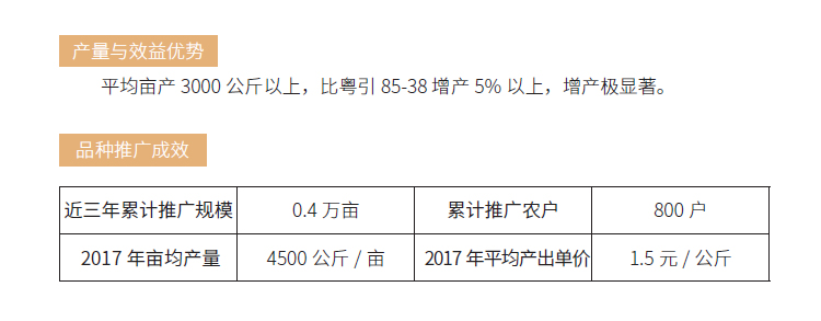 博彩论坛排名