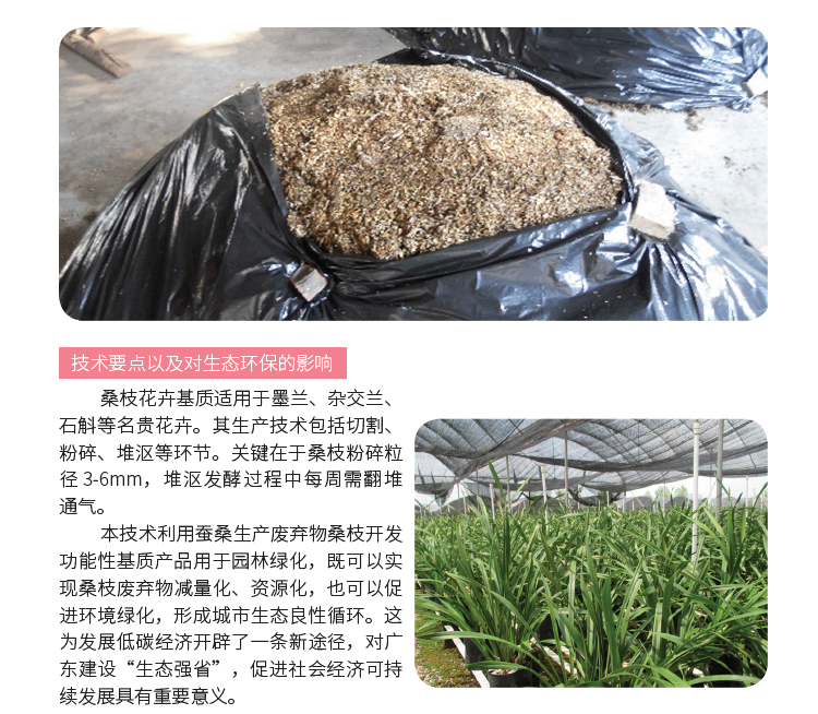 博彩论坛排名