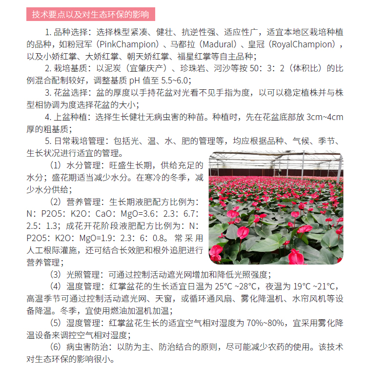 博彩论坛排名