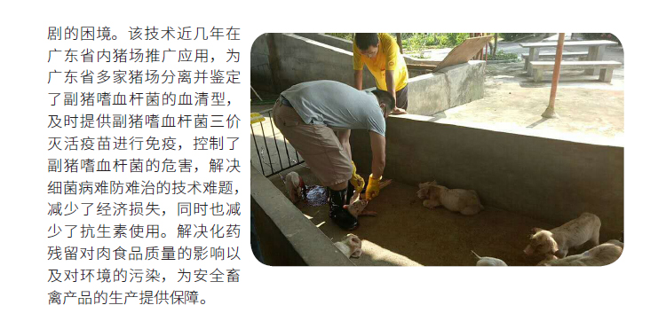 博彩论坛排名