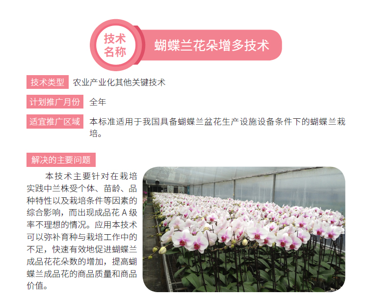 博彩论坛排名
