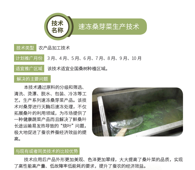 博彩论坛排名