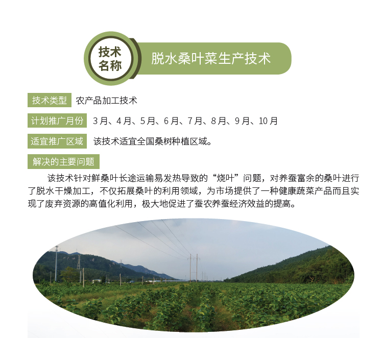 博彩论坛排名