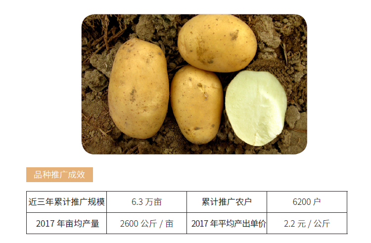 博彩论坛排名
