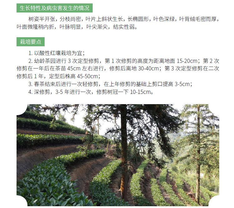 博彩论坛排名