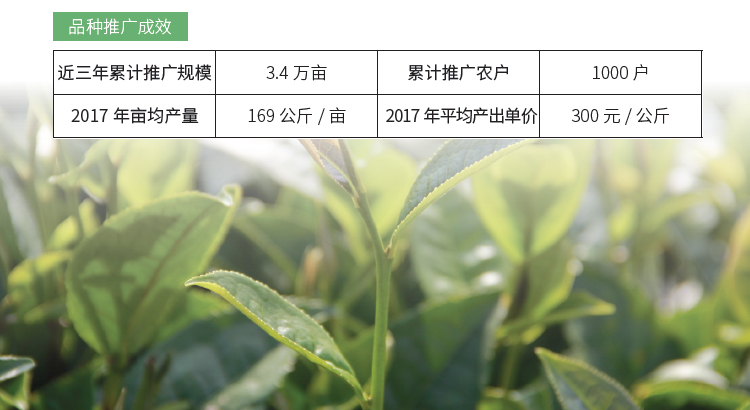 博彩论坛排名