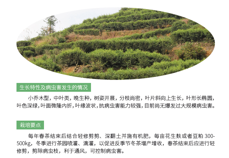 博彩论坛排名