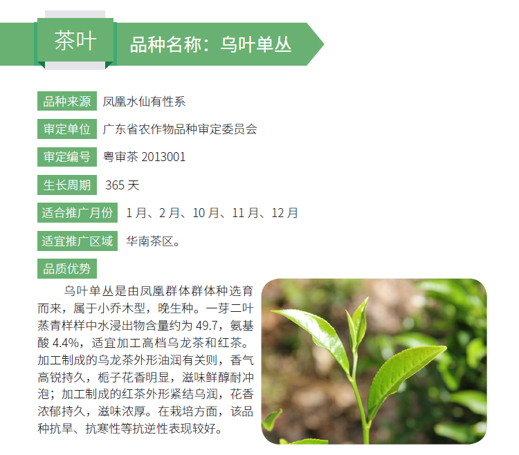 博彩论坛排名