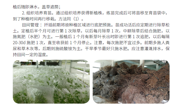 博彩论坛排名