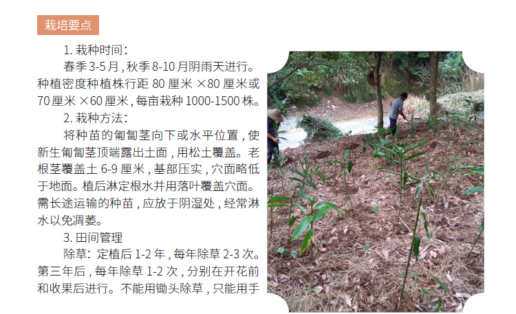 博彩论坛排名