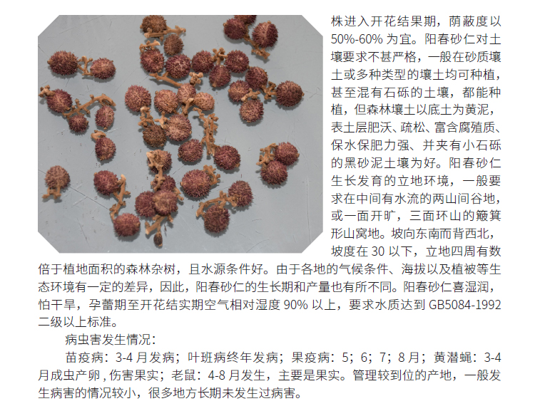博彩论坛排名