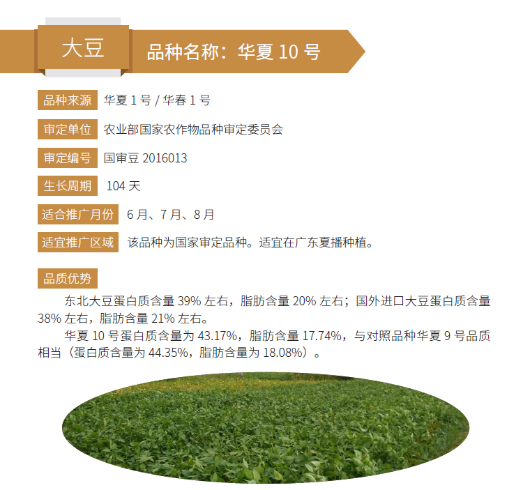 博彩论坛排名