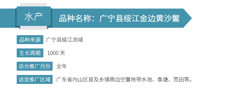 博彩论坛排名