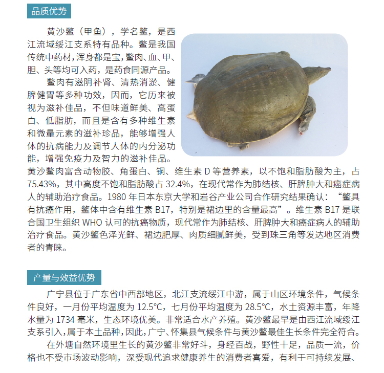 博彩论坛排名