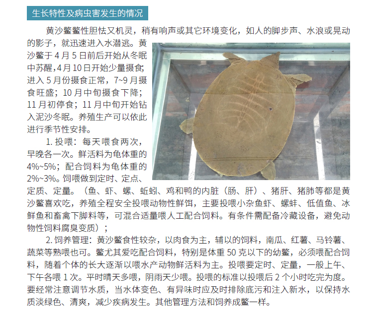 博彩论坛排名