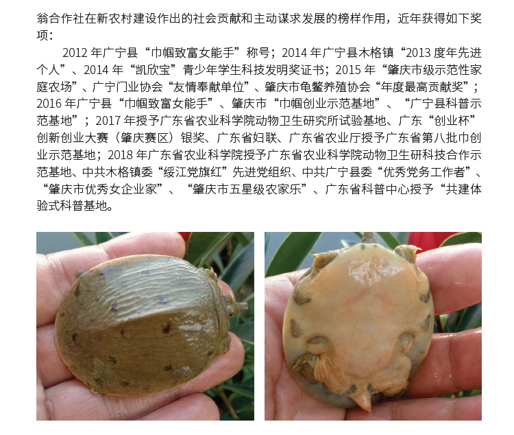 博彩论坛排名