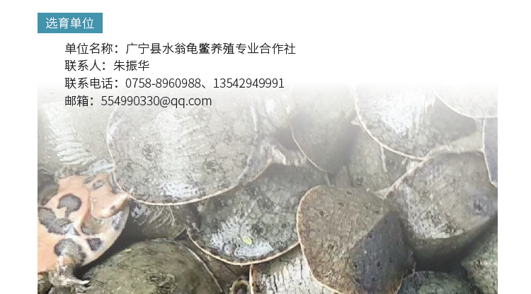 博彩论坛排名