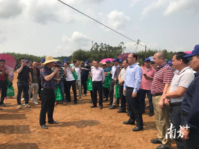 英德市2021年春耕生产现场会。邓文燕 摄 英德市2021年春耕生产现场会。邓文燕 摄