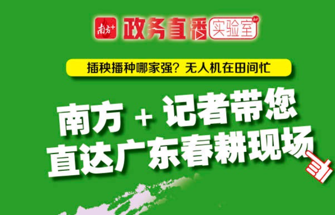点击观看直播
