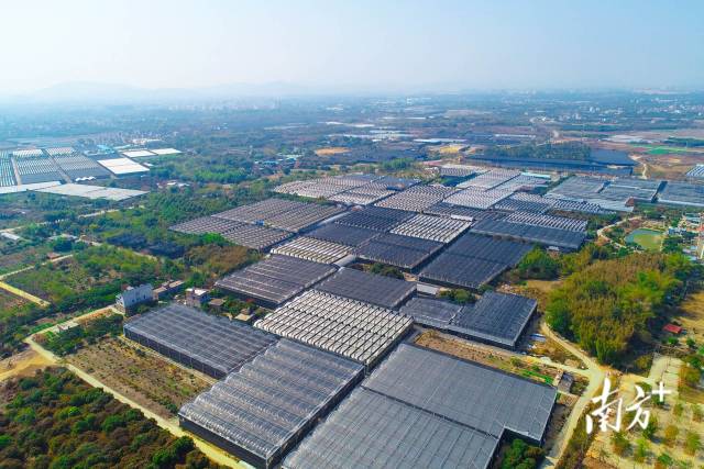 从化区现代农业产业园 从化区现代农业产业园