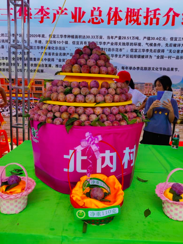 “银妃”三华李 “银妃”三华李