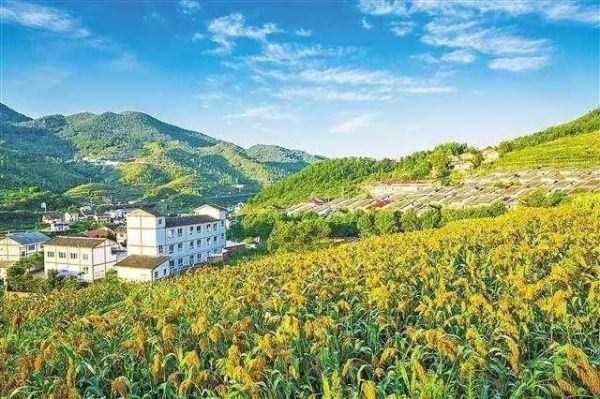 博彩论坛排名