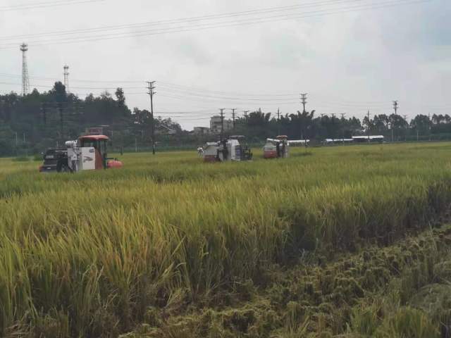 博彩论坛排名