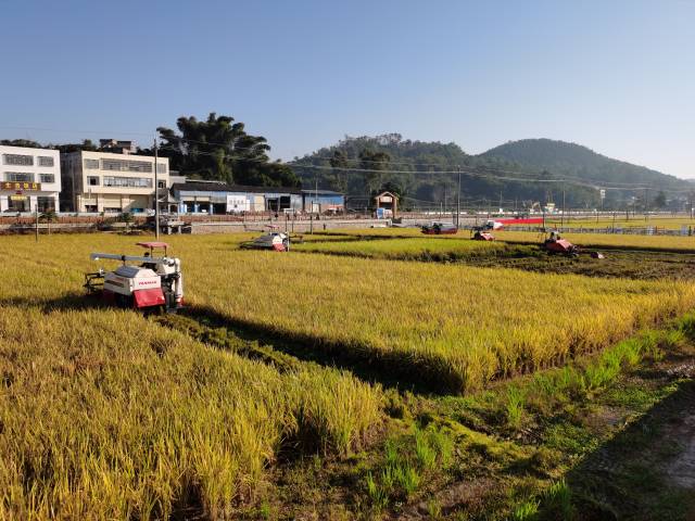 博彩论坛排名
