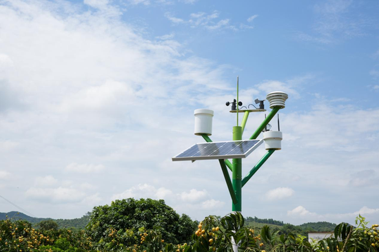 郁南无核黄皮基地里安装的农眼监测基站