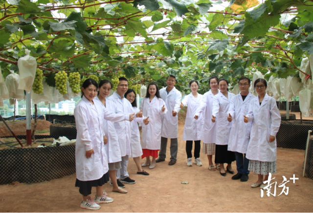 科研项目团队四年如一日在试验田进行数字化技术种植。 科研项目团队四年如一日在试验田进行数字化技术种植。