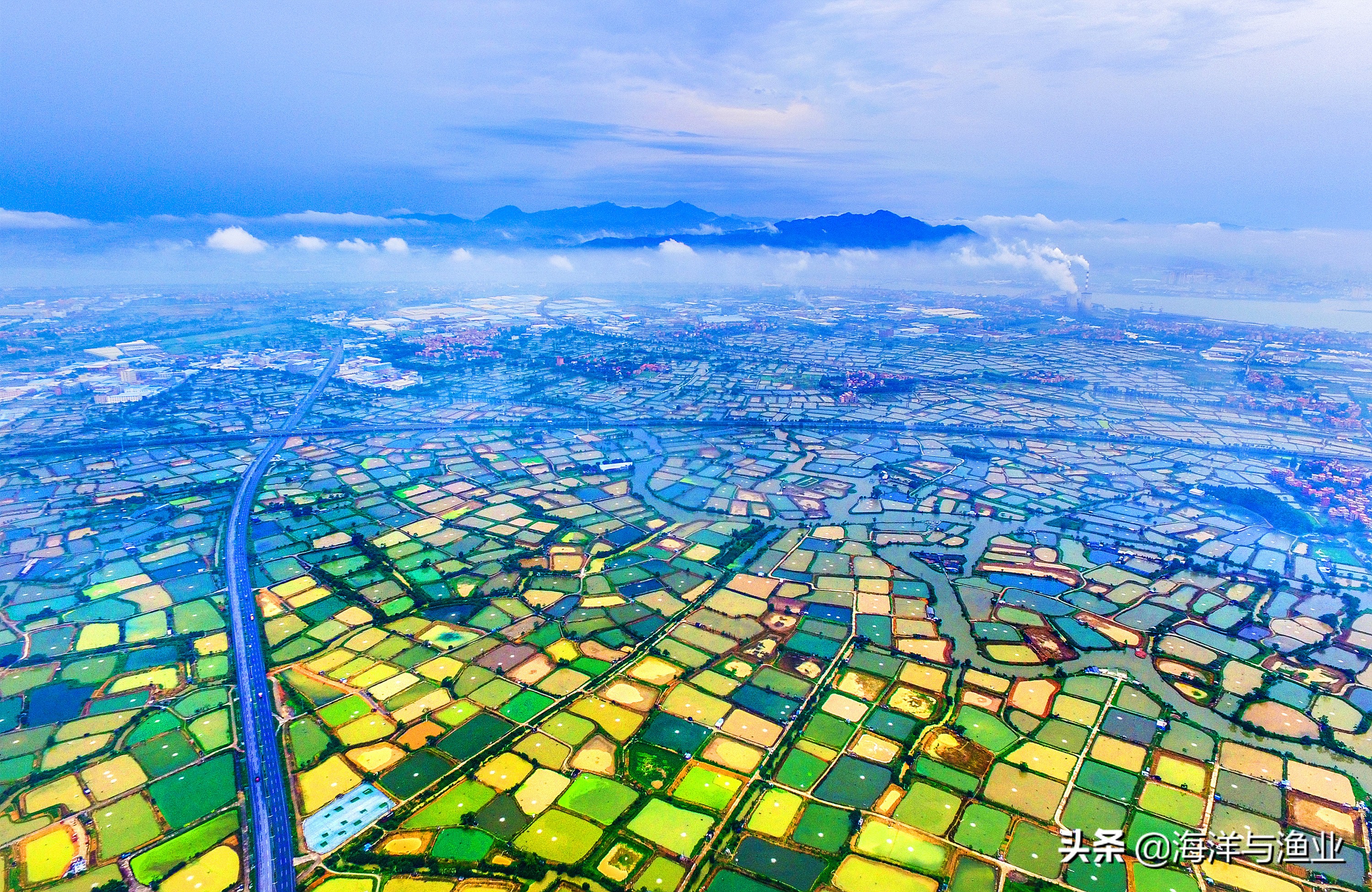 从鱼塘到美丽渔场 佛山预计2022上半年完成2万亩池塘升级改造