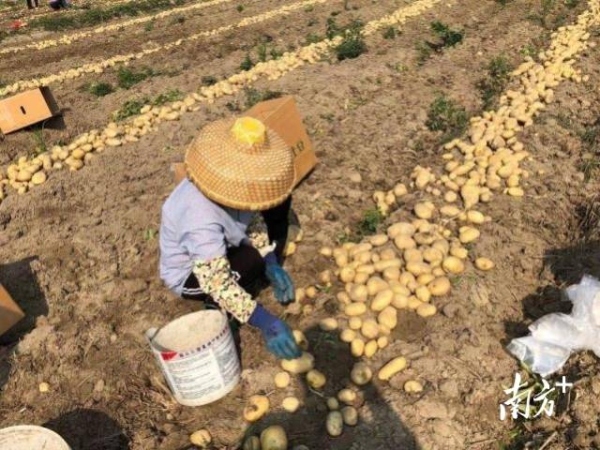 博彩论坛排名