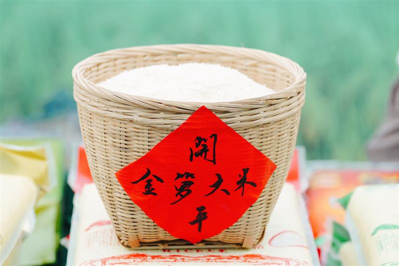 博彩论坛排名