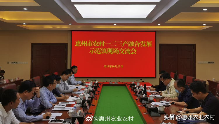 惠州市农业农村局召开全市乡村振兴农村一二三产融合发展示范镇项目推进现场交流会