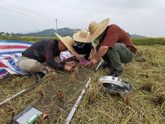 调查组进行损失数据采集。 调查组进行损失数据采集。