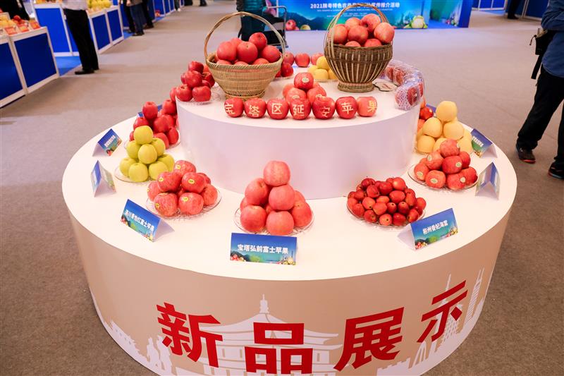 博彩论坛排名