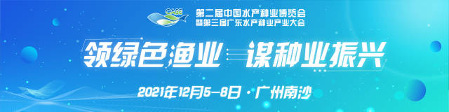 博彩论坛排名