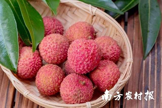 博彩论坛排名