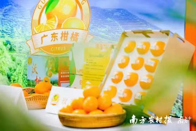 博彩论坛排名