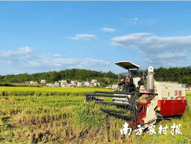 蕉岭县桃花源联合社开展生产托管工作 