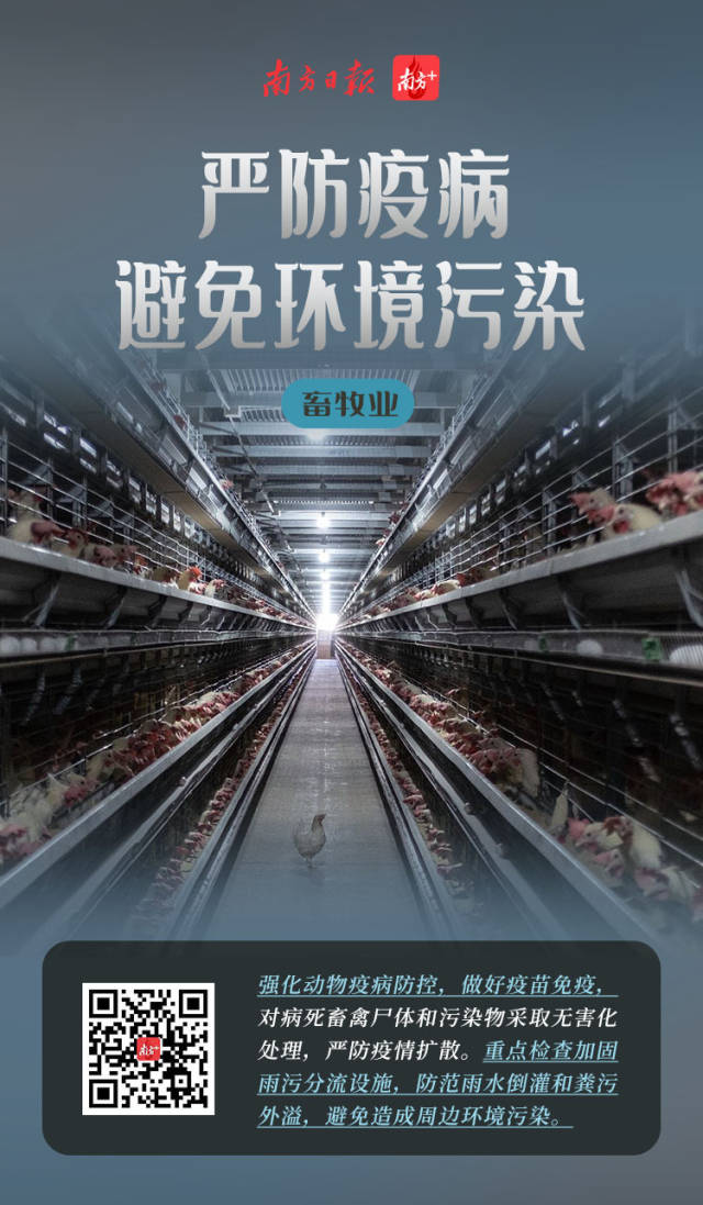 博彩论坛排名