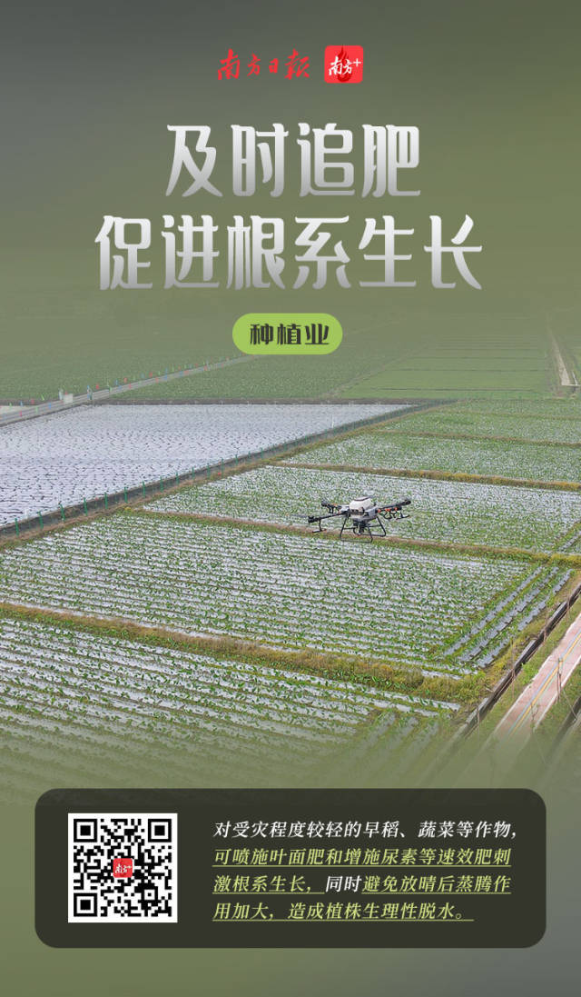 博彩论坛排名